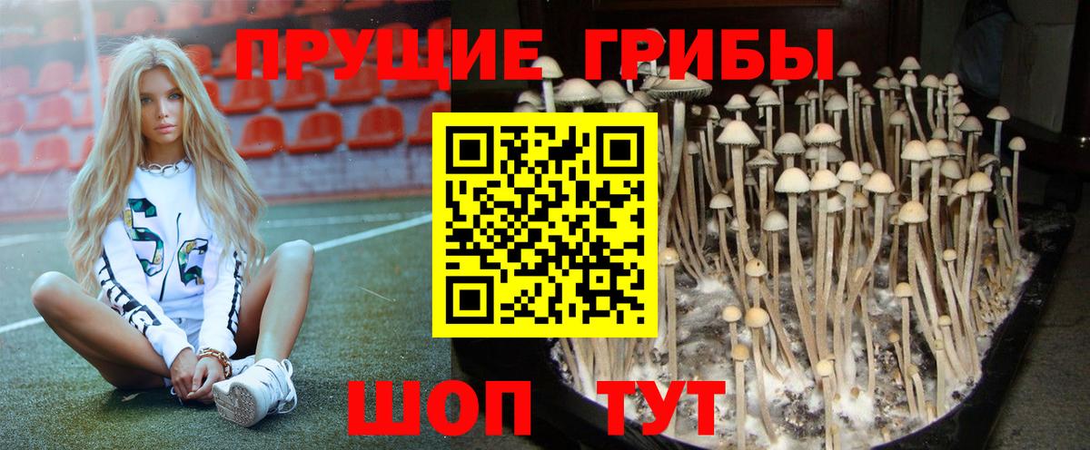 Ливны  Псилоцибиновые грибы GOLDEN TEACHER  Галлюциногенные грибы Magic Shrooms  Вход с VPN 